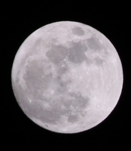 Full Moon Copyright (c) Feb 2010, Kathy J Loh, All Rights Reserved