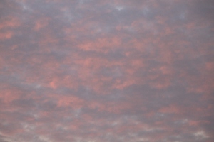 Sunrise Pink Skies copyright(c) JAN 2011, Kathy J Loh, All Rights Reserved